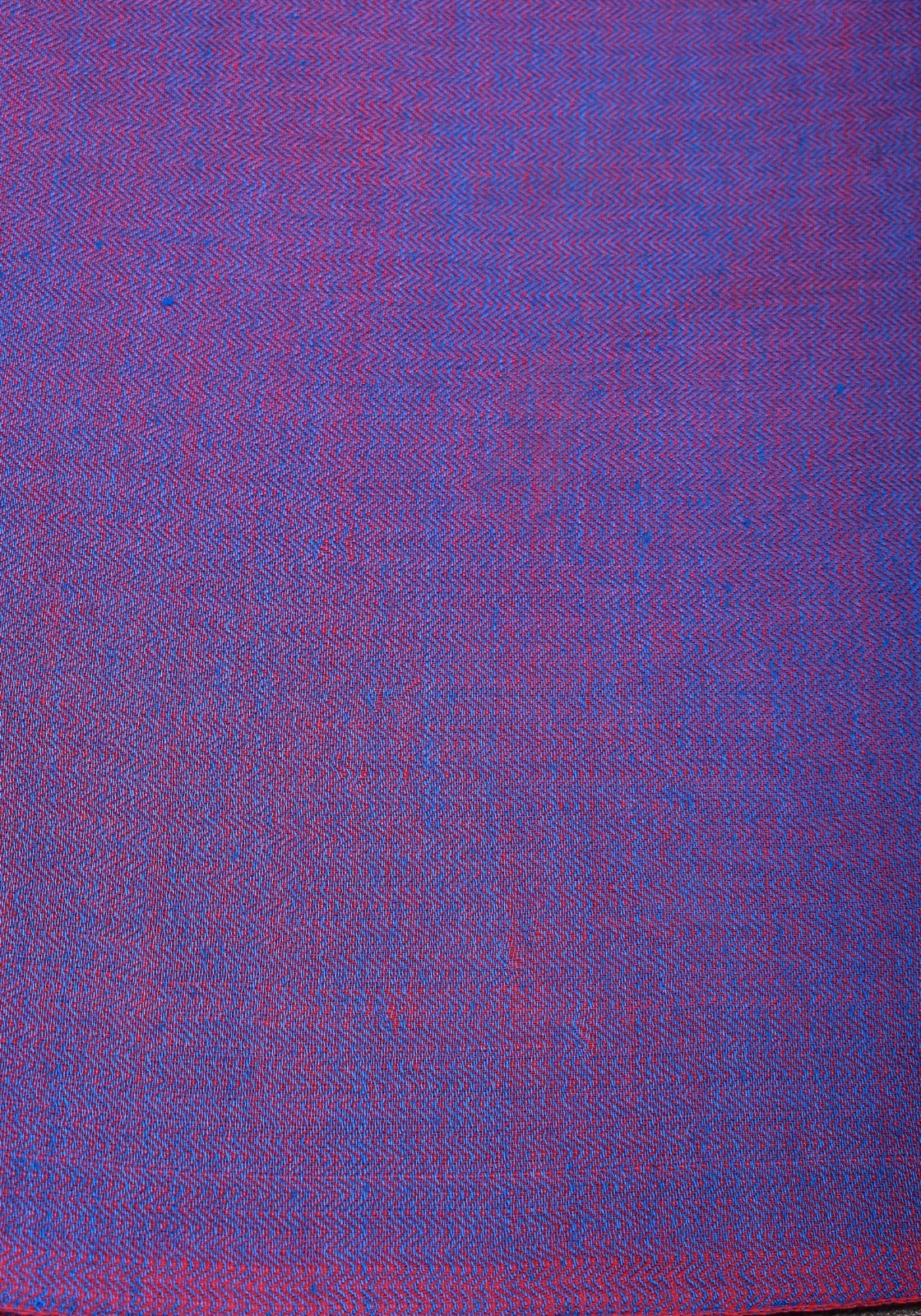 Neeloffar — Violet Maheshwari