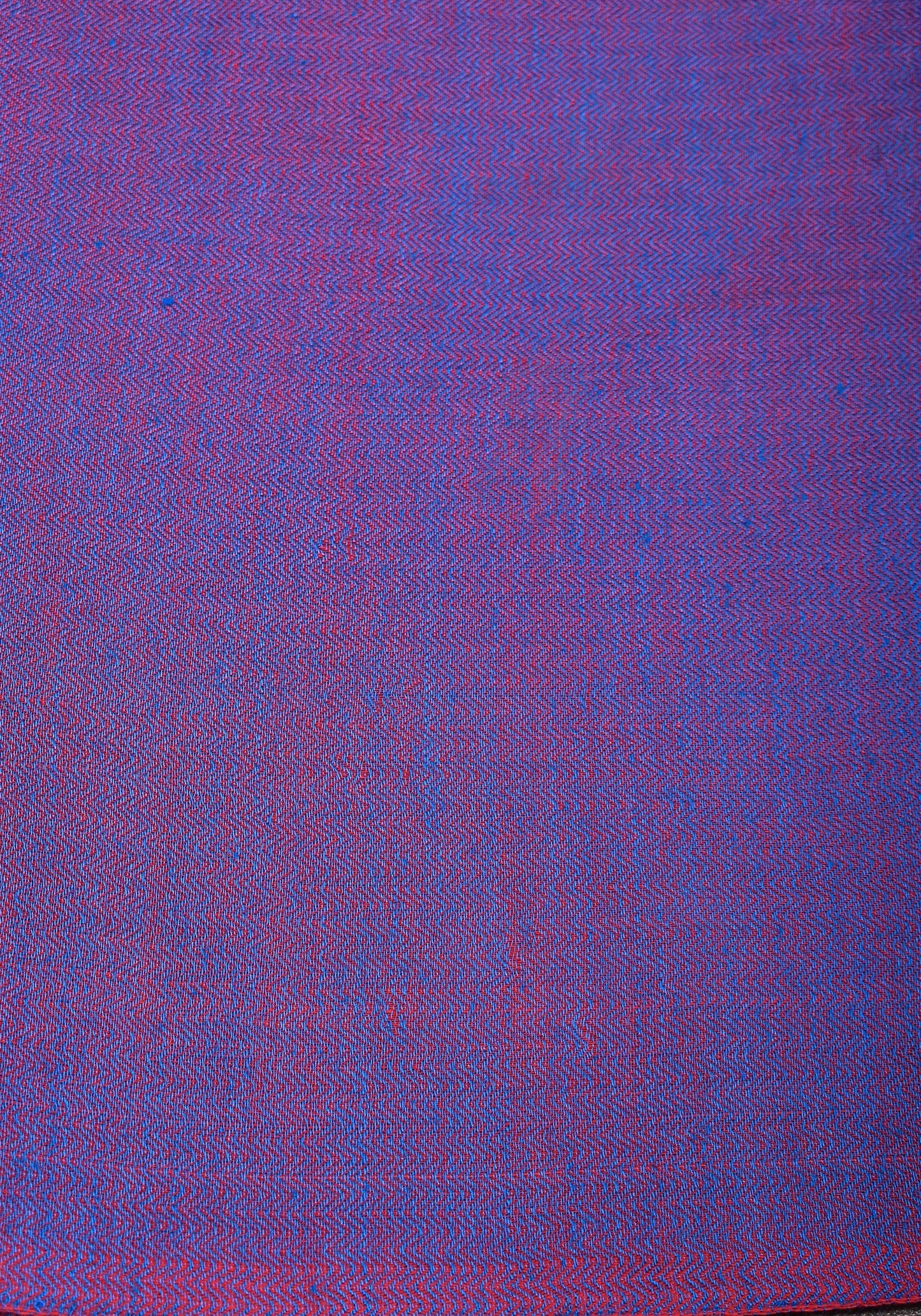 Neeloffar — Violet Maheshwari